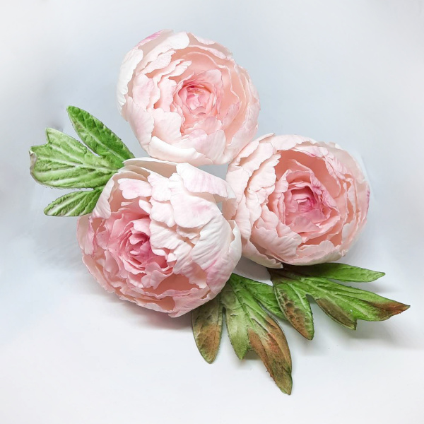Цветы из мастики пионы 3шт