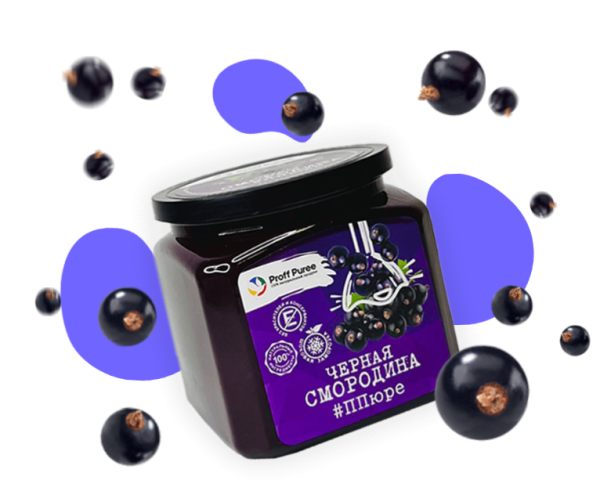 Пюре Черная смородина "Proff Puree" 0,5 кг.