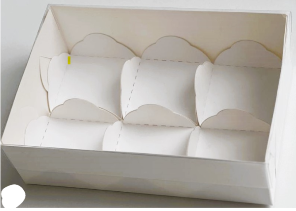 Коробка для МОТИ 175х120х55мм (6) ячеек с пластиковой крышкой и ложементами белая